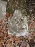 Stone leaning against the tree